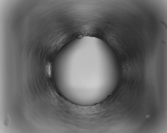 X0000102370042200808081202