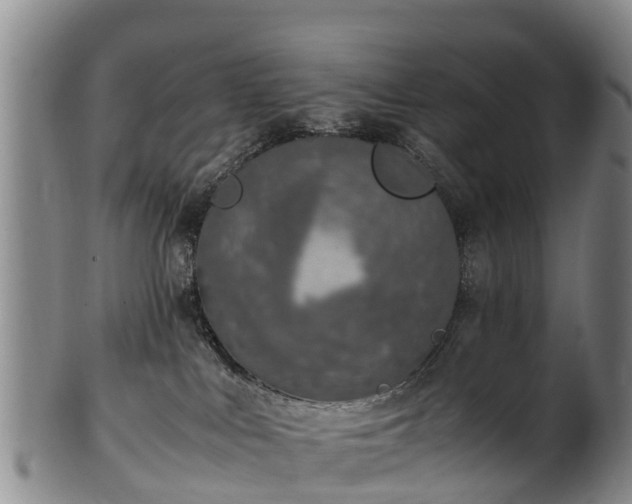 X0000102370043200808081202