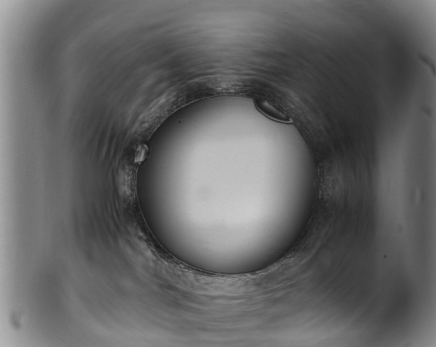 X0000102370044200808081202