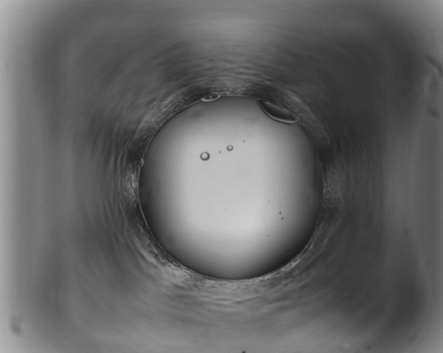 X0000102370045200808081202