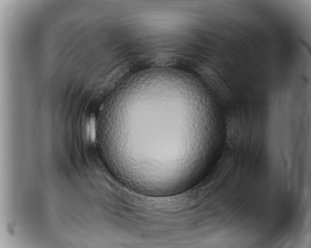 X0000102370046200808081202