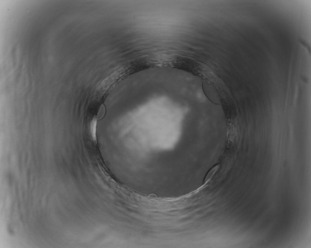 X0000102370047200808081202