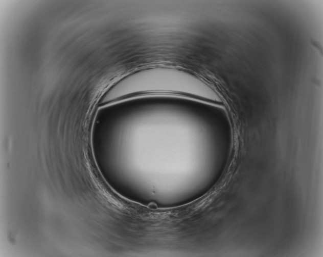 X0000102370049200808081201