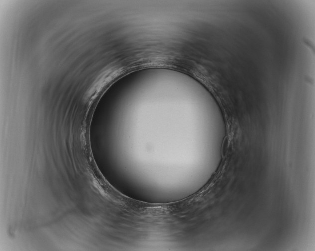 X0000102370050200808081201