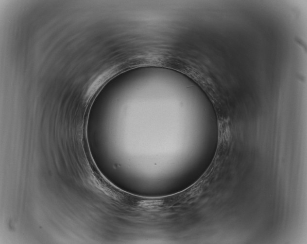 X0000102370051200808081201