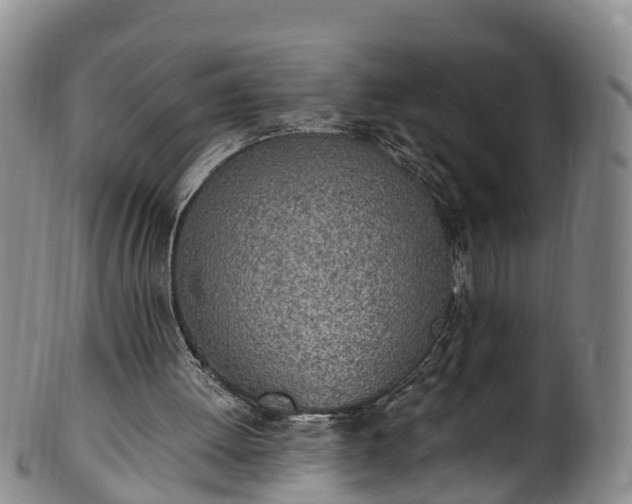 X0000102370052200808081201