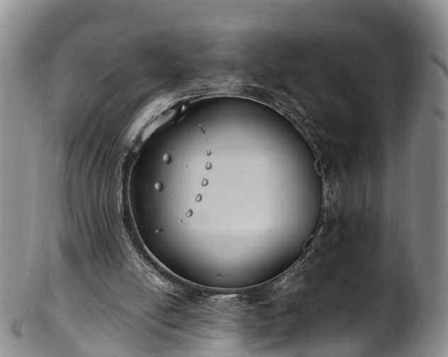 X0000102370054200808081202