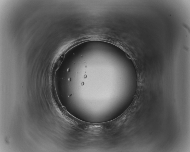 X0000102370055200808081202