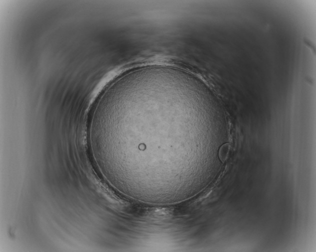 X0000102370056200808081202