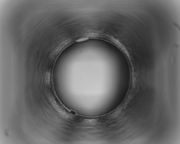 X0000102370057200808081202