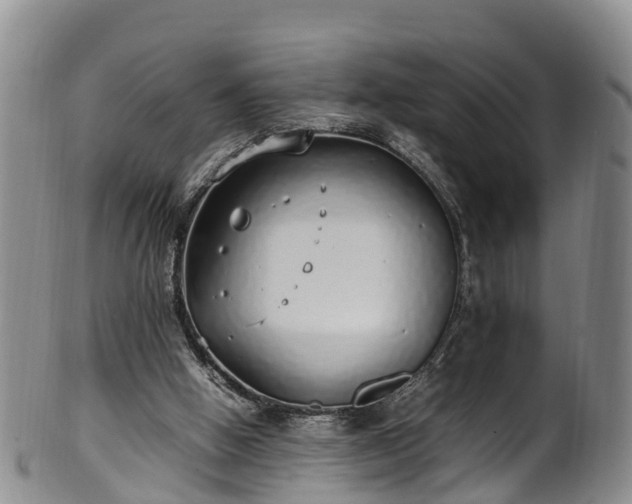 X0000102370058200808081202