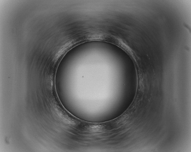 X0000102370059200808081202