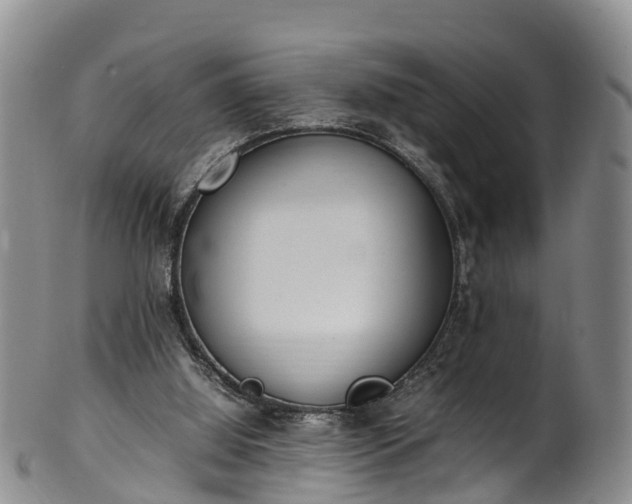 X0000102370060200808081202