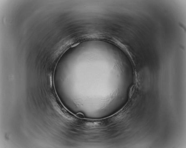 X0000102370061200808081202