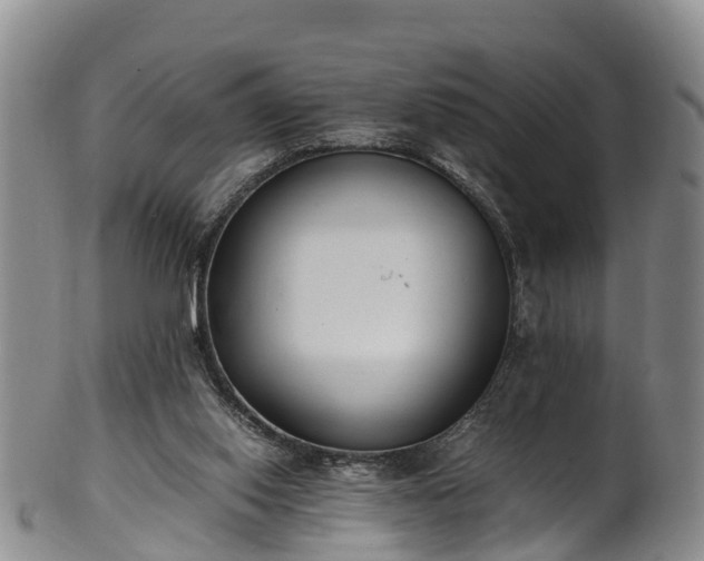 X0000102370062200808081202