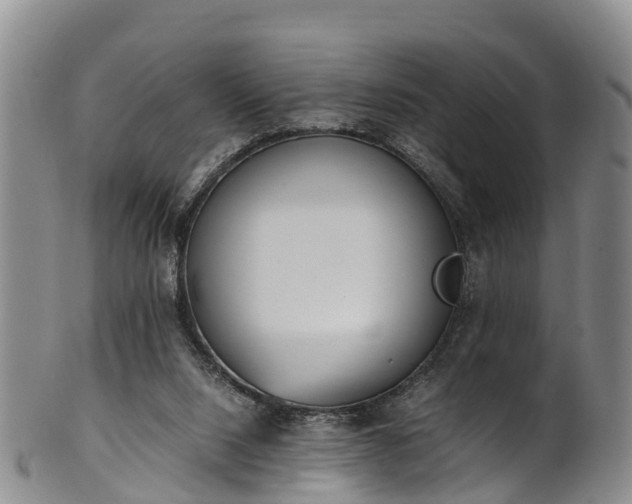 X0000102370064200808081202