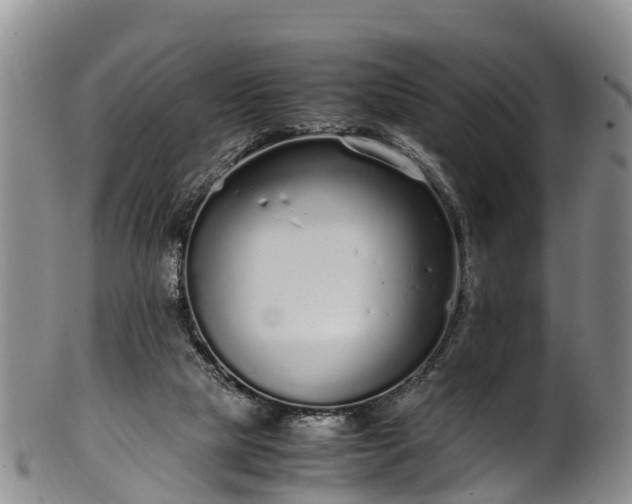 X0000102370065200808081202