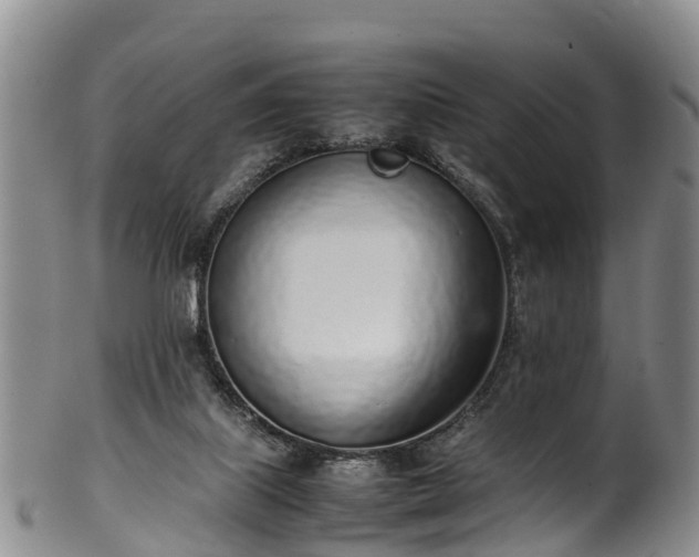 X0000102370067200808081202