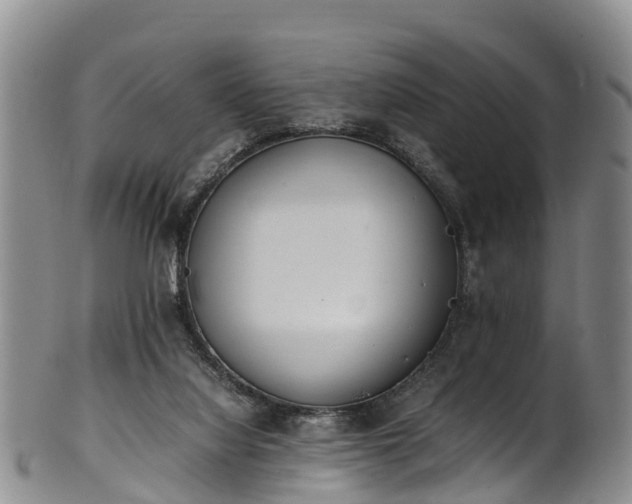 X0000102370068200808081202