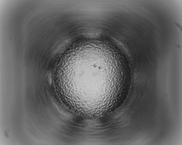 X0000102370069200808081202