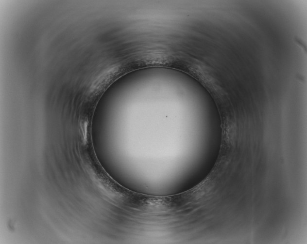 X0000102370070200808081202