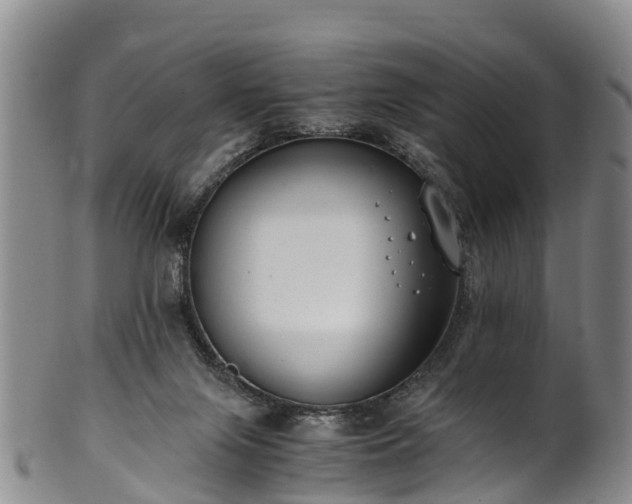 X0000102370071200808081202