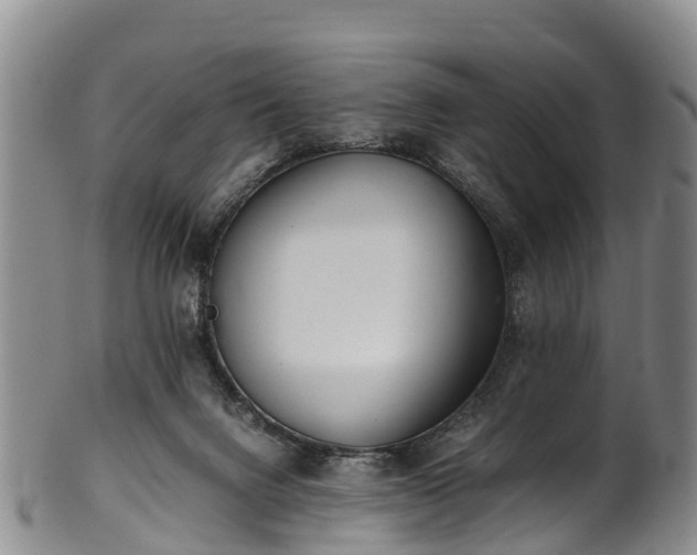 X0000102370072200808081202