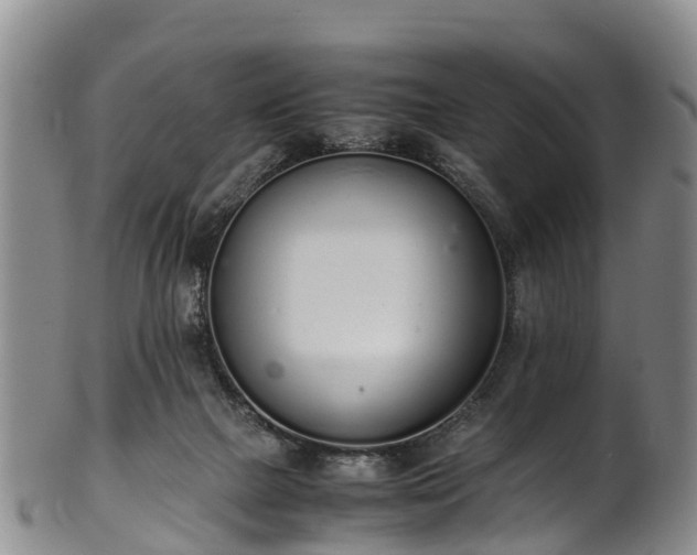 X0000102370073200808081202