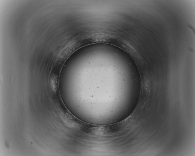 X0000102370074200808081202