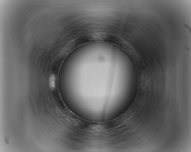 X0000102370075200808081202