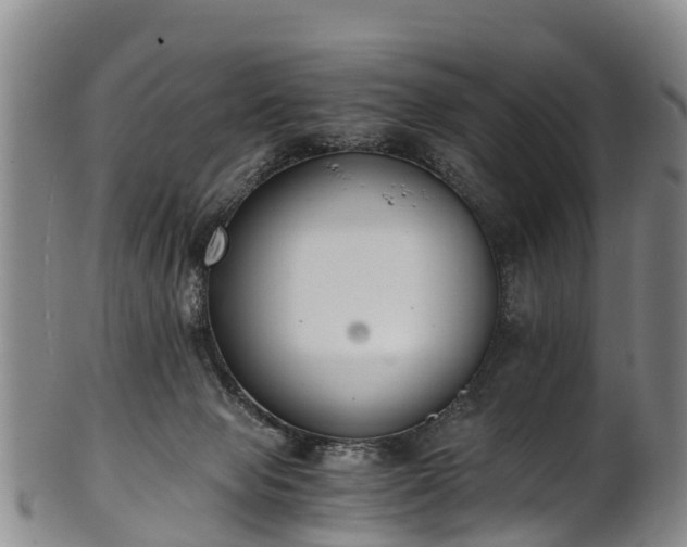 X0000102370077200808081202