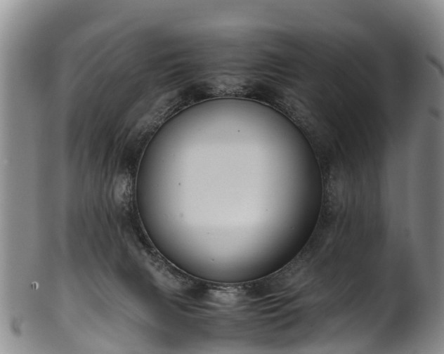 X0000102370079200808081202