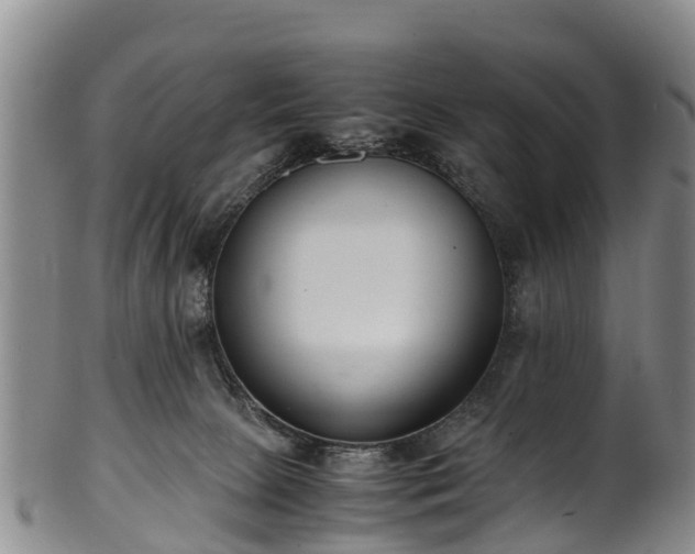 X0000102370081200808081202