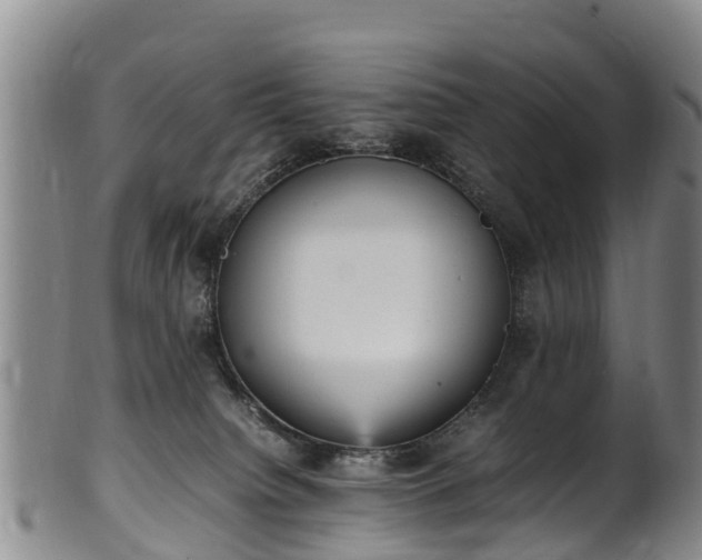 X0000102370084200808081202