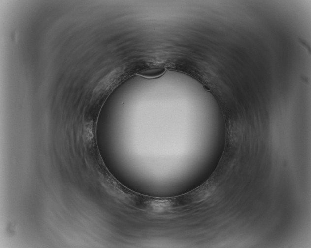 X0000102370085200808081202