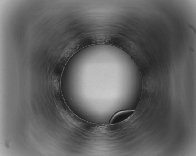 X0000102370086200808081202