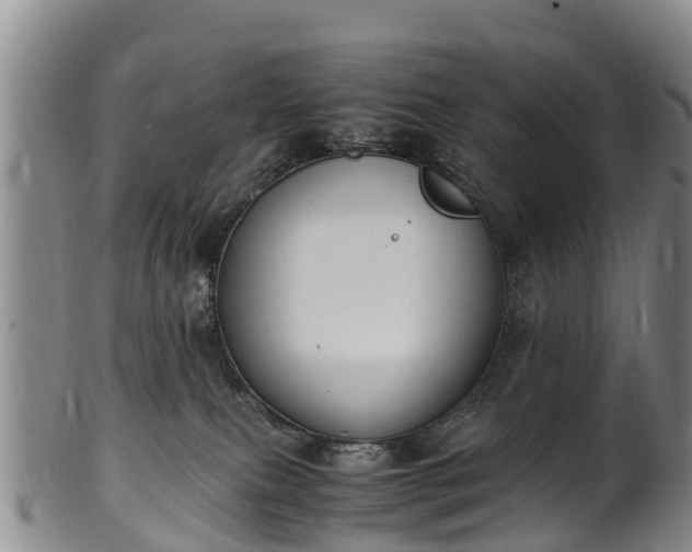 X0000102370087200808081202