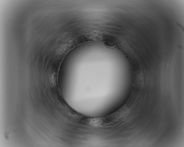 X0000102370088200808081202