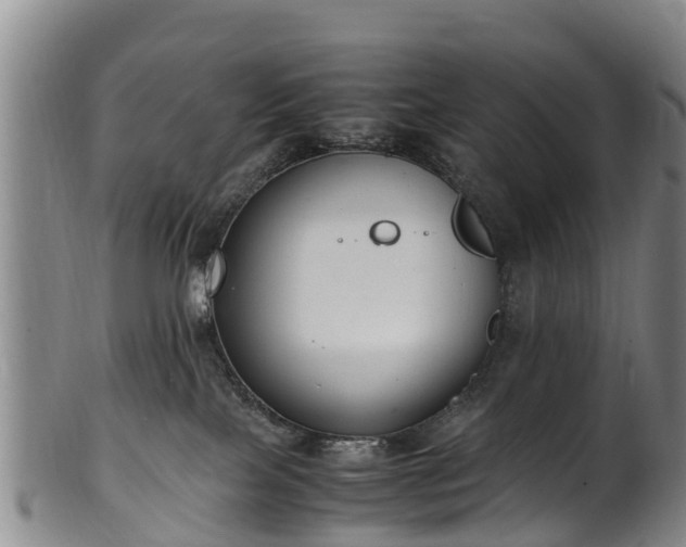 X0000102370089200808081202