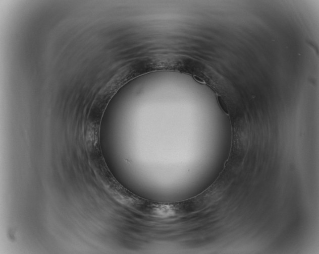 X0000102370091200808081202