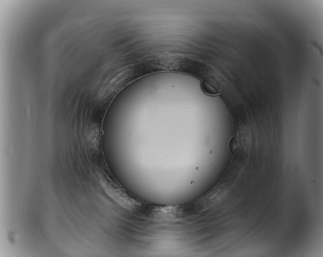 X0000102370092200808081202