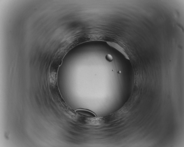 X0000102370093200808081202