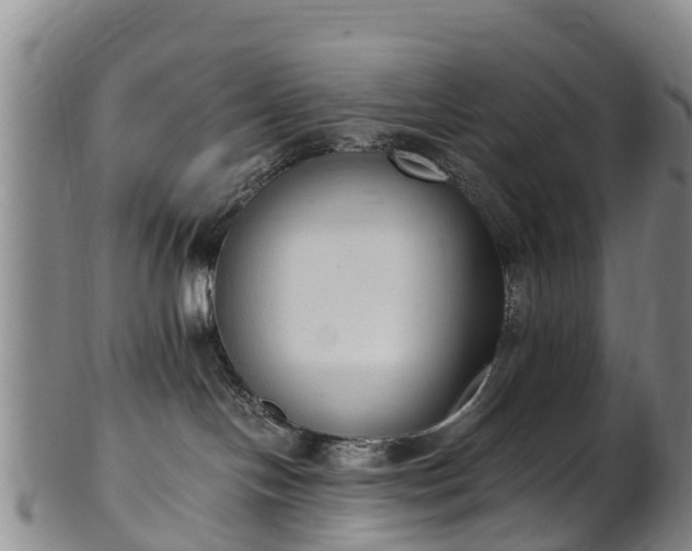 X0000102370094200808081202