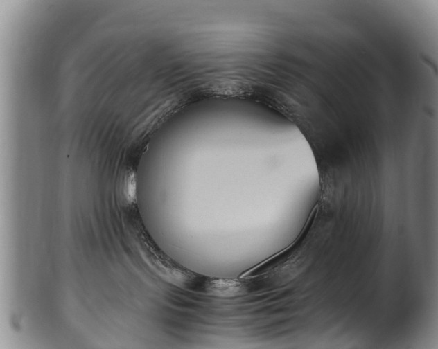 X0000102370095200808081202