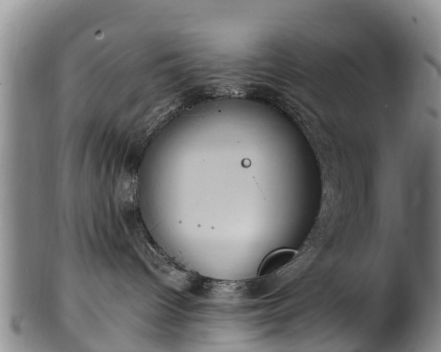 X0000102370096200808081202