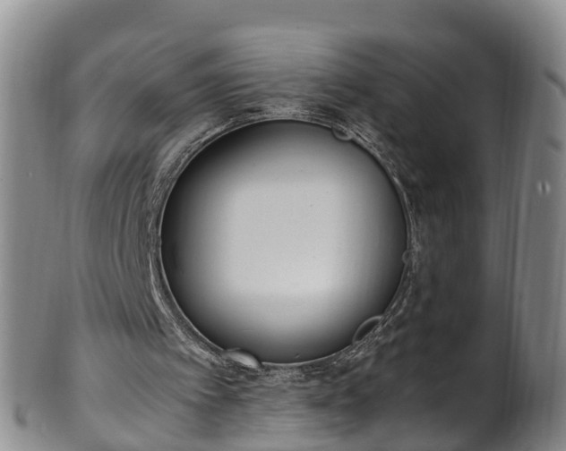 X0000102370097200808081201