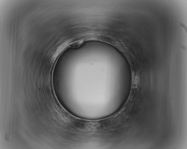 X0000102370099200808081201