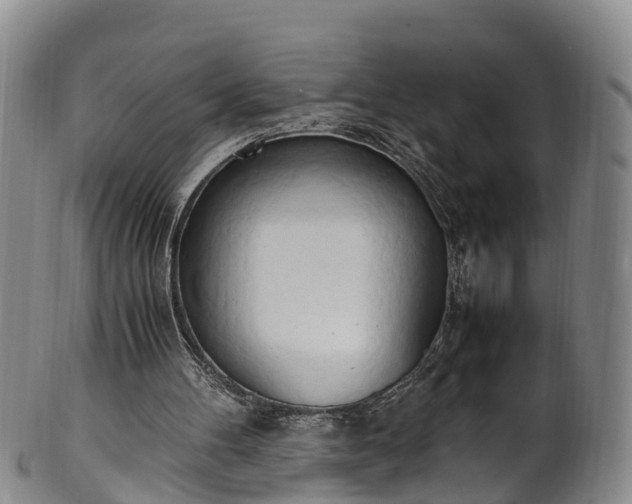 X0000102370100200808081201