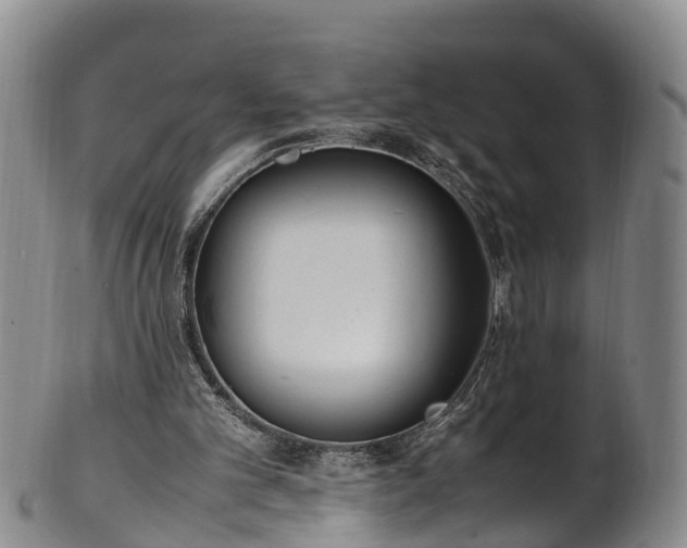 X0000102370101200808081201