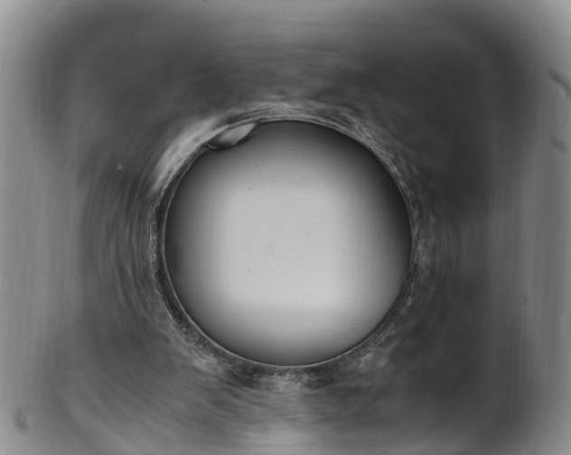 X0000102370103200808081201